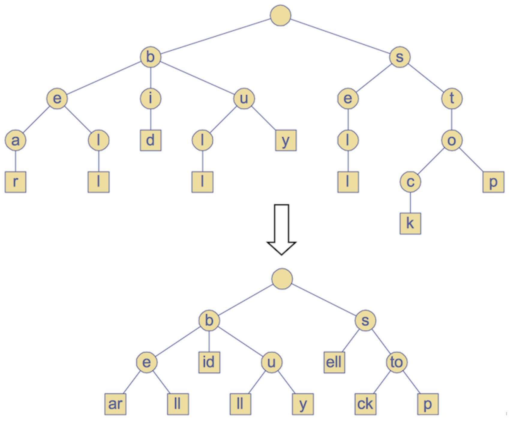 Compression replaces unbranched character chains with longer labels while preserving branches and keys